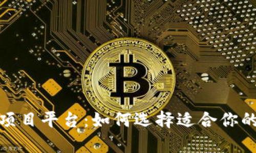 全面解析区块链项目平台：如何选择适合你的投资与开发环境