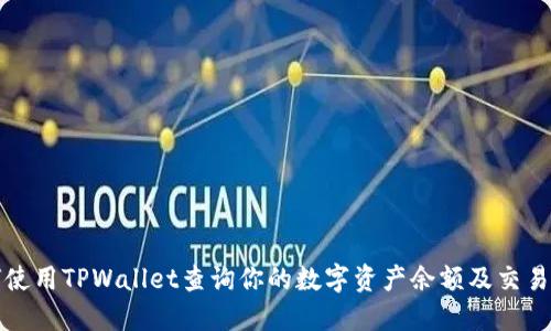 如何使用TPWallet查询你的数字资产余额及交易记录