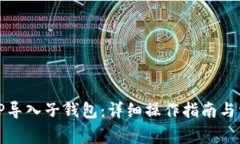 如何成功将TP导入子钱包：详细操作指南与常见问