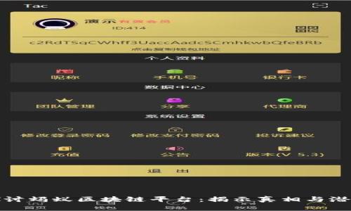 深入探讨蚂蚁区块链平台：揭示真相与潜在风险