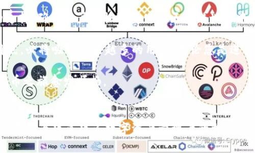 深入探访TPWallet：如何使用这款无缝区块链钱包进行数字资产管理

TPWallet, 区块链, 数字资产, 钱包使用指南/guanjianci

什么是TPWallet？
TPWallet是一款旨在简化区块链资产管理的数字钱包应用。它支持多个区块链网络，用户可以方便地存储、管理和交易各种数字资产。无论您是区块链领域的新手，还是经验丰富的加密资产交易者，TPWallet都能为您提供流畅而安全的操作体验。

为何选择TPWallet？
TPWallet不仅支持广泛的数字货币和代币，还具备用户友好的界面和强大的安全性。与其他钱包相比，TPWallet的移动端体验尤为突出，用户可随时随地管理其资产。此外，TPWallet还提供了便捷的交易工具和资产监控功能，使用户能够轻松跟踪市场动态。

TPWallet的安装与注册
首先，用户需要在官方应用商店下载安装TPWallet。它支持多种平台，包括Android和iOS，用户只需搜索“TPWallet”并按照提示完成安装。

安装完成后，打开TPWallet，用户会看到一个简单直观的注册页面。在此页面，您可以选择创建新的钱包或导入现有钱包。创建新钱包时，请确保妥善保存助记词，以便日后恢复访问。

钱包设置与安全性
在完成注册后，用户可以进入钱包设置界面。在这里，您可以设置PIN码、启用生物识别登录（如指纹或面部识别）以及启用双重身份验证。这些安全功能极大提升了您对钱包和资产的保护。

如何添加数字资产？
添加资产至TPWallet的步骤非常简单。用户只需点击“添加资产”，从支持的货币列表中选择您希望添加的代币，点击确认后，资产就会出现在您的钱包中。支持的资产包括，BTC、ETH、USDT等主要数字货币，以及众多其他代币。

交易功能的使用
TPWallet的交易功能让用户可以轻松地发送和接收数字资产。点击“发送”按钮，输入接收方的钱包地址和转账金额，确认无误后便可完成交易。TPWallet会自动计算预计的交易费用，并展示在交易确认页面。

对于接收数字资产，用户只需分享自己的钱包地址，或使用二维码扫描功能。TPWallet允许用户轻松管理其所有接收的资产，既支持手动输入地址，也支持通过社交媒体与朋友分享您的钱包地址。

如何使用TPWallet进行DeFi参与？
随着去中心化金融（DeFi）的兴起，TPWallet也为用户提供了参与DeFi生态的便利。用户可以在钱包内直接访问多个DeFi应用，例如流动性挖矿、借贷平台等，提升资产收益。只需在钱包中找到DeFi选项，连接支持的应用，即可开始您的DeFi之旅。

常见问题解答
在使用TPWallet的过程中，您可能会遇到一些常见问题。在这里，我们为您提供了一些解决方案。

h4如何找回丢失的助记词？/h4
如果您丢失了助记词，很遗憾，您将无法恢复钱包。因此，强烈建议用户在创建钱包后，将助记词妥善保存，并避免在不安全的位置记录。

h4TPWallet支持哪些币种？/h4
TPWallet支持多种主流数字货币和代币，包括比特币、以太坊、USDT、以及各种ERC20和BEP20代币。您可以在官方的支持文档中查看完整列表。

终极用户体验：不断更新与未来展望
TPWallet团队持续致力于用户体验和加强安全性。定期更新将为用户带来新功能，提升对新兴数字资产的支持，确保用户在快速变化的区块链世界中保持竞争力。

总结而言，TPWallet不仅仅是一个钱包，它已经成为数字资产管理的综合平台，凭借其高效、安全、友好的特点，必将吸引越来越多的用户。无论您是进行小额交易，还是大额投资，TPWallet都能够满足您的需求，助您轻松玩转数字资产世界。 

希望以上内容对您使用TPWallet有所帮助。继续探索，掌握更多数字资产管理的技巧与知识，让您的加密货币之旅愈发顺畅。

### 结语
随着区块链技术的发展，Wallet的功能也在不断演化。TPWallet凭借其优秀的用户体验和多样化的功能，正在成为越来越多数字资产管理者的首选。希望您能在使用TPWallet的过程中，享受到前所未有的便利与安全！