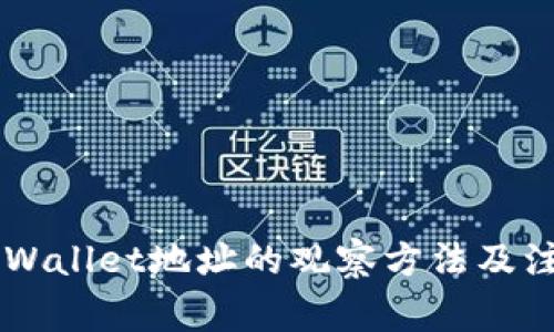 了解TPWallet地址的观察方法及注意事项