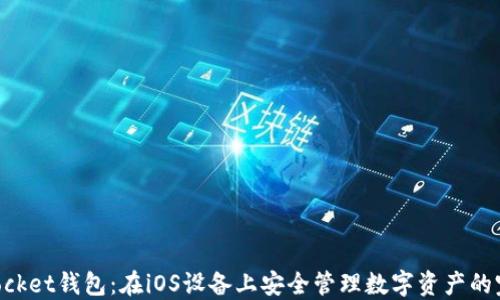 
TokenPocket钱包：在iOS设备上安全管理数字资产的完整指南