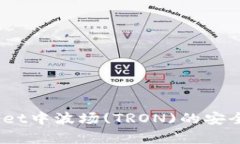 深入解析：TPWallet中波场(TRON)的安全性及其保障措
