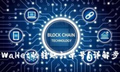 : 如何查看TPWallet的转账订单号？详解步骤与注意