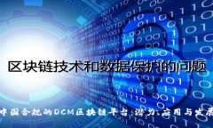 探索中国合规的DCM区块链平台：潜力、