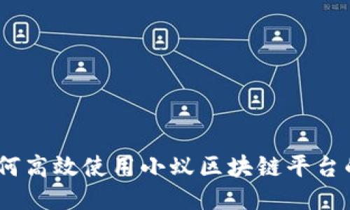 全面指南：如何高效使用小蚁区块链平台的功能与特性