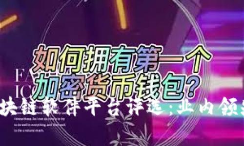 2023年最佳区块链软件平台评选：业内领先者的深度分析