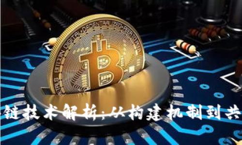 比特币背后的区块链技术解析：从构建机制到共识算法的深度探讨