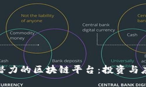 探索全球最具潜力的区块链平台：投资与应用的未来之路
