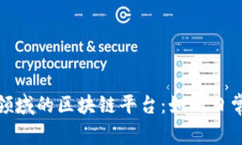 探索生活服务领域的区块链平台：如何日常服务与透明性