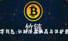 探究TP数字钱包：识别潜在骗局与保护