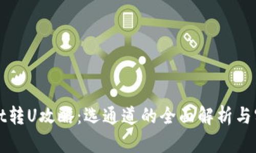 TPWallet转U攻略：选通道的全面解析与实用技巧