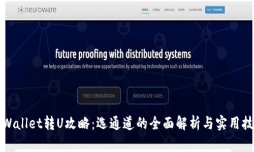 TPWallet转U攻略：选通道的全面解析与实用技巧