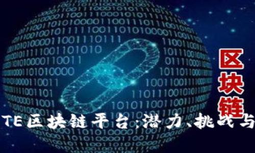 深入探讨TE区块链平台：潜力、挑战与未来发展