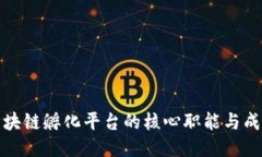 探索区块链孵化平台的核心职能与成功