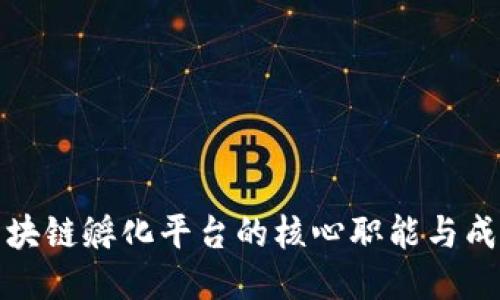 探索区块链孵化平台的核心职能与成功要素