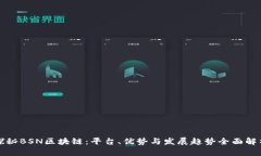 探秘BSN区块链：平台、优势与发展趋势