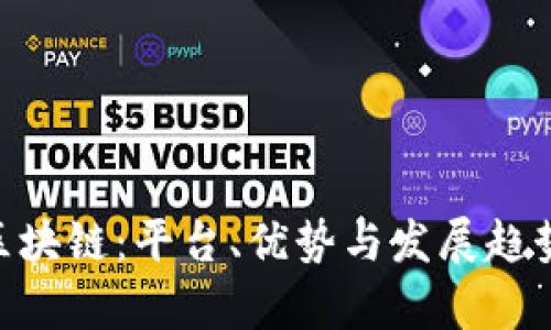 探秘BSN区块链：平台、优势与发展趋势全面解析