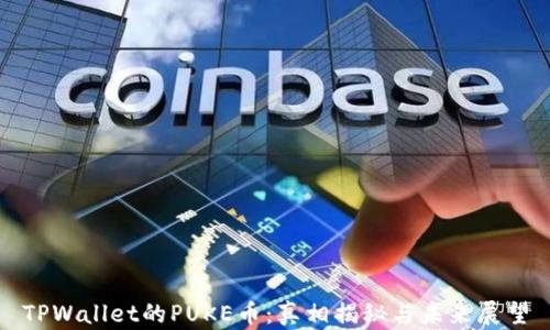 
TPWallet的PUKE币：真相揭秘与未来展望