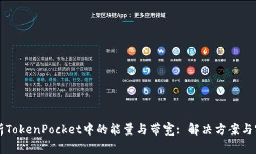 深入解析TokenPocket中的能量与带宽: 解决方案与实用指南