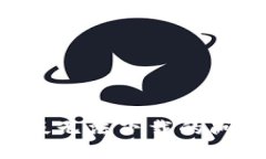 如何解决TPWallet苹果版无法下载的问题