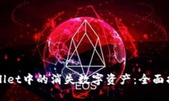 如何找回TPWallet中的消失数字资产：全