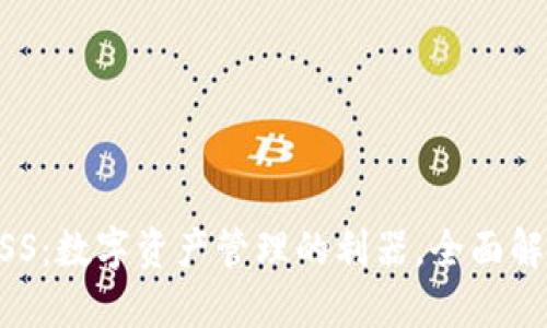 TPWallet的ASS：数字资产管理的利器，全面解读与实用指南