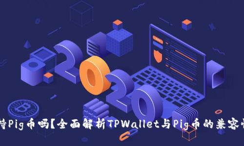 TPWallet支持Pig币吗？全面解析TPWallet与Pig币的兼容性与使用指南