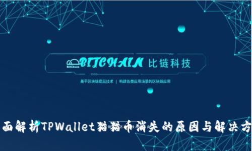 全面解析TPWallet猫猫币消失的原因与解决方案