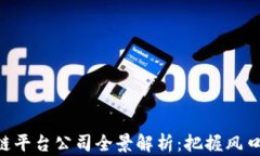 山东区块链平台公司全景解析：把握风