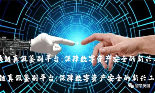 《区块链真假鉴别平台：保障数字资产安全的新兴工具》

区块链真假鉴别平台：保障数字资产安全的新兴工具