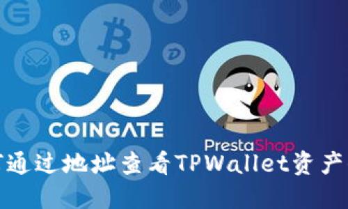 如何通过地址查看TPWallet资产信息