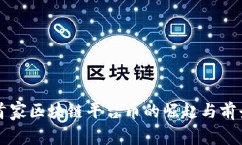 国内首家区块链平台币的崛起与前景分析