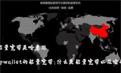 tpwallet能量宽带是啥意思深入解析tpw