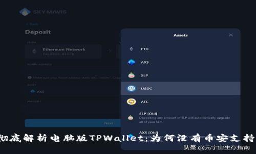 彻底解析电脑版TPWallet：为何没有币安支持？