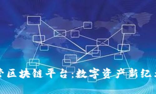 探索外管区块链平台：数字资产新纪元的开启