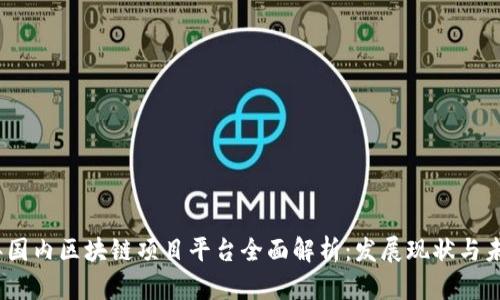 2023年国内区块链项目平台全面解析：发展现状与未来趋势